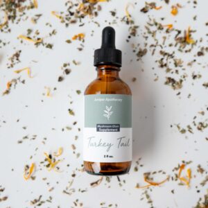 Turkey Tail Elixir