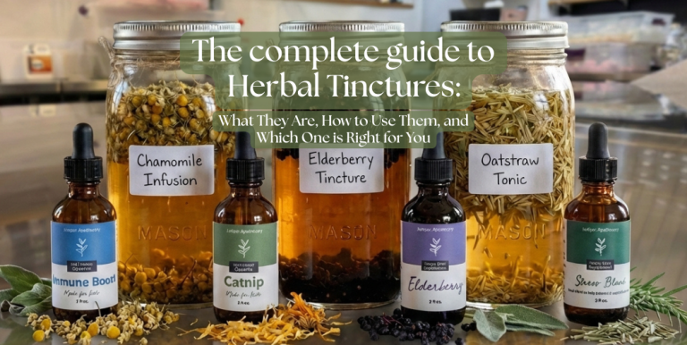 Herbal tincture guide showing mason jars with chamomile, elderberry, and oatstraw infusions behind finished tincture bottles including immune boost, catnip, elderberry, and stress blend