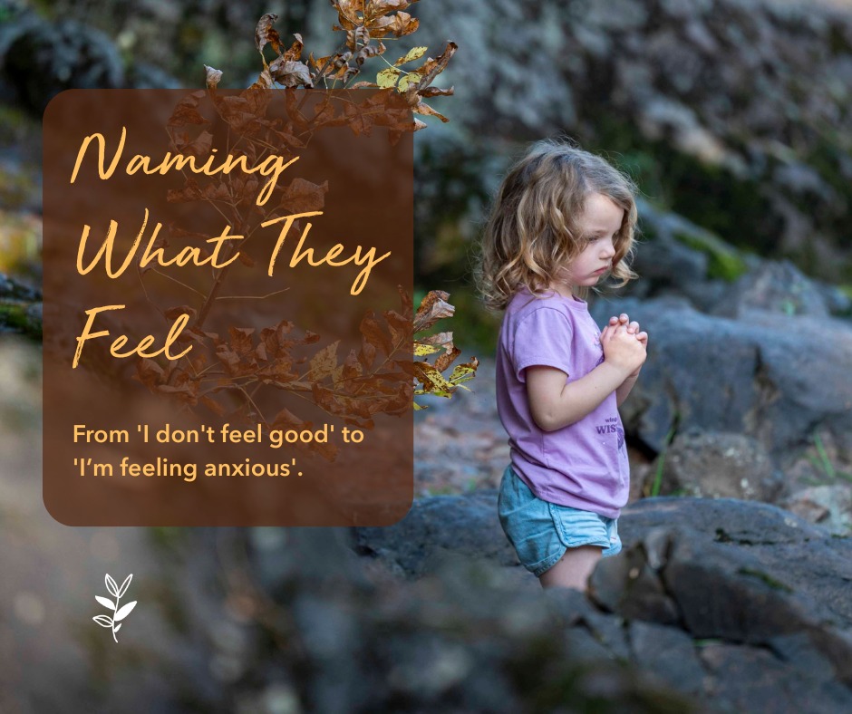 A child with curly hair, wearing a purple t-shirt and denim shorts, stands on rocky terrain with hands clasped, looking contemplative. The image includes text overlay that reads 'Naming What They Feel' and a tagline about understanding feelings.