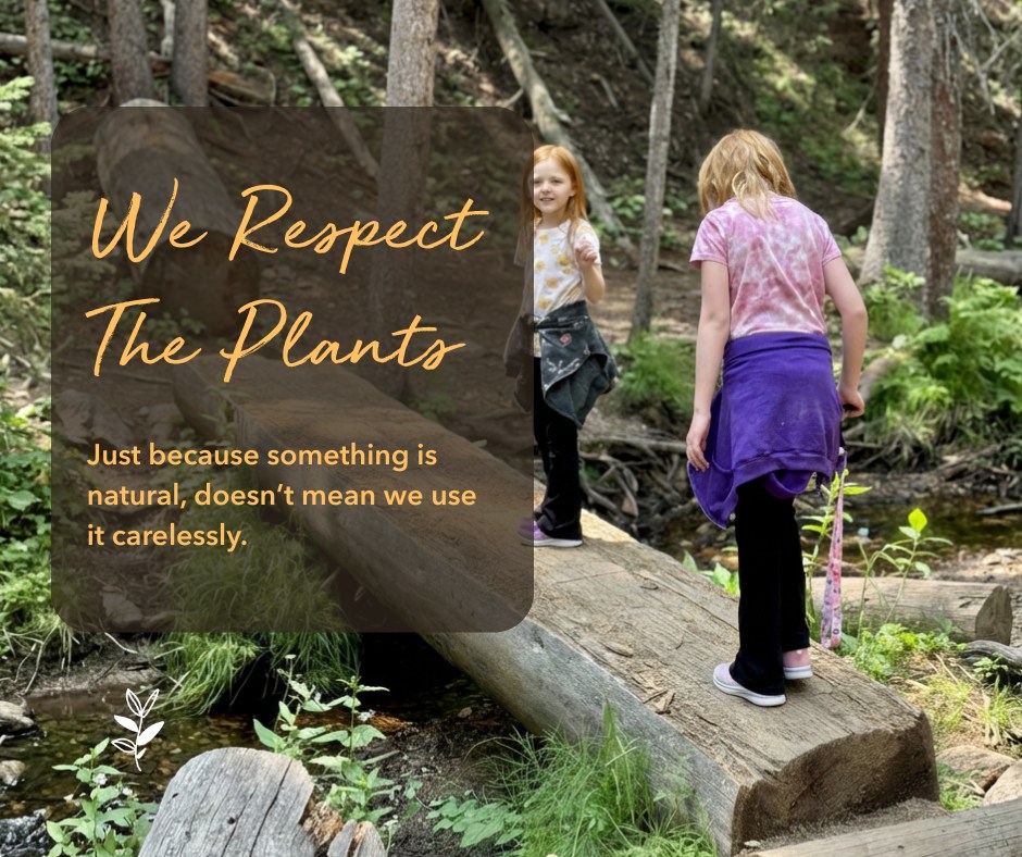 Two children walking on a log bridge in a forest, promoting respect for plants with a text overlay.