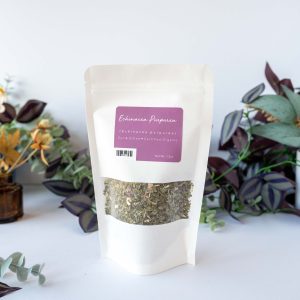 Echinacea
