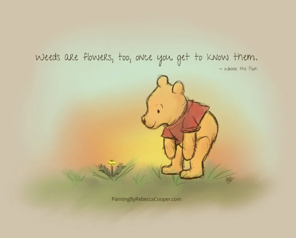 Illustration of Winnie the Pooh looking at a flower with the quote 'Weeds are flowers, too, once you get to know them.'