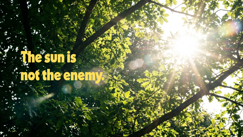 Sunlight streaming through green tree canopy with lens flare, illustrating the benefits of moderate sun exposure, hero image for Juniper Apothecary's guide to rethinking sun protection